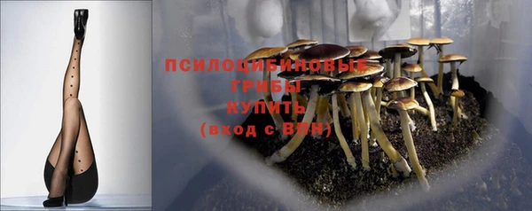 соль курить ск Алексеевка