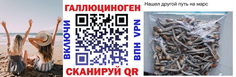 Галлюциногенные грибы Cubensis  ОМГ ОМГ ТОР  Ярцево  что такое  